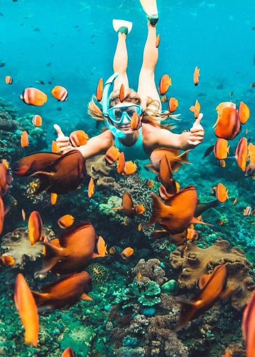 Best Snorkeling Spots Nusa Penida