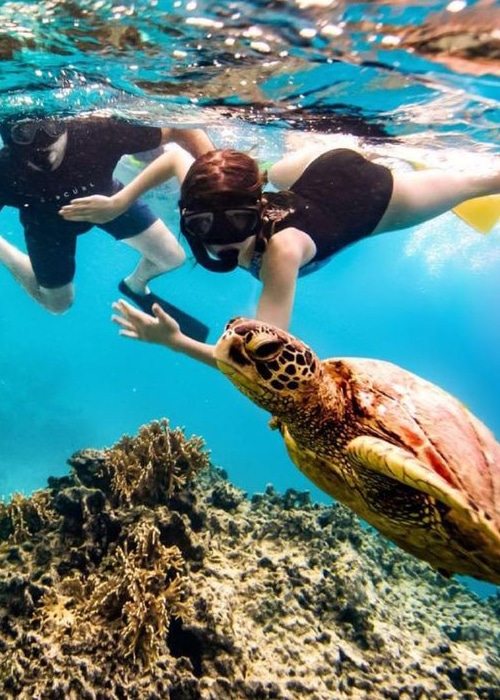 Best Snorkeling Spots Nusa Penida