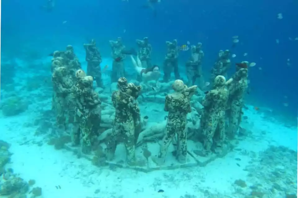 Sharing Snorkeling Gili Trawangan