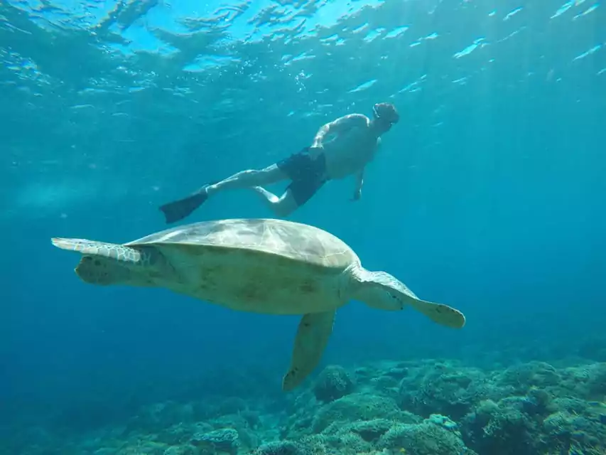 Sharing Snorkeling Gili Trawangan Jemari Bali