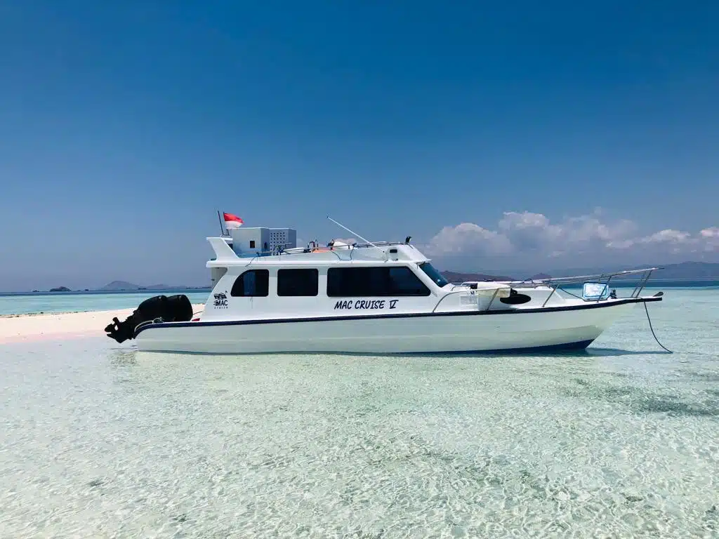 Private speedboat tour Komodo