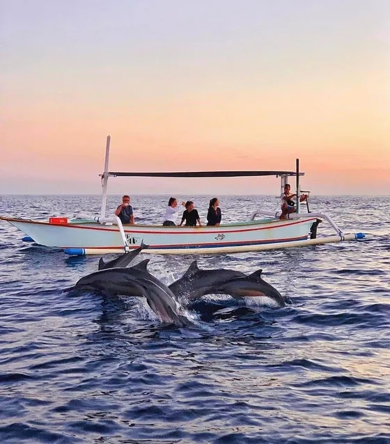 Dolphin Watching Lovina Package