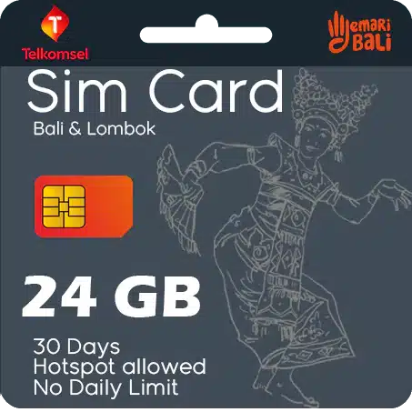 sim card 24 GB